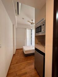 Botanique At Bartley (D19), Condominium #549239191